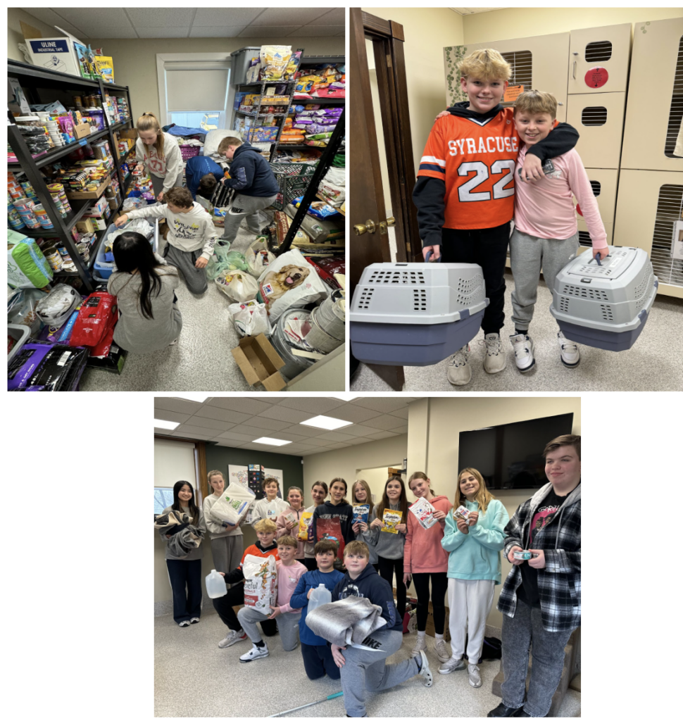 Middle schools students volunteering at a pet rescue mission